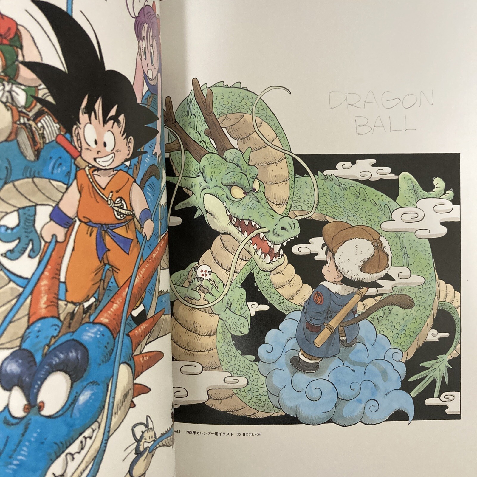Akira Toriyama THE WORLD SPECIAL Art Book Illustration