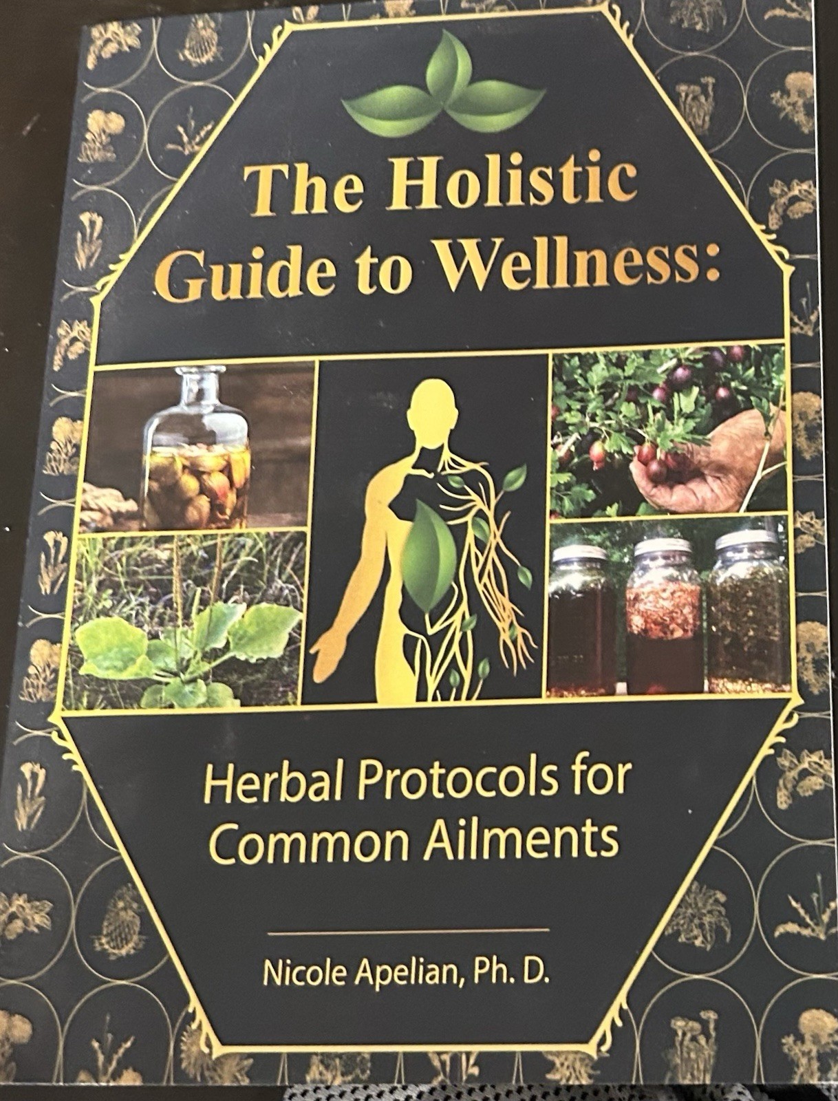 The Holistic Guide to Wellness : Herbal Protocols for Common Ailments – pape…