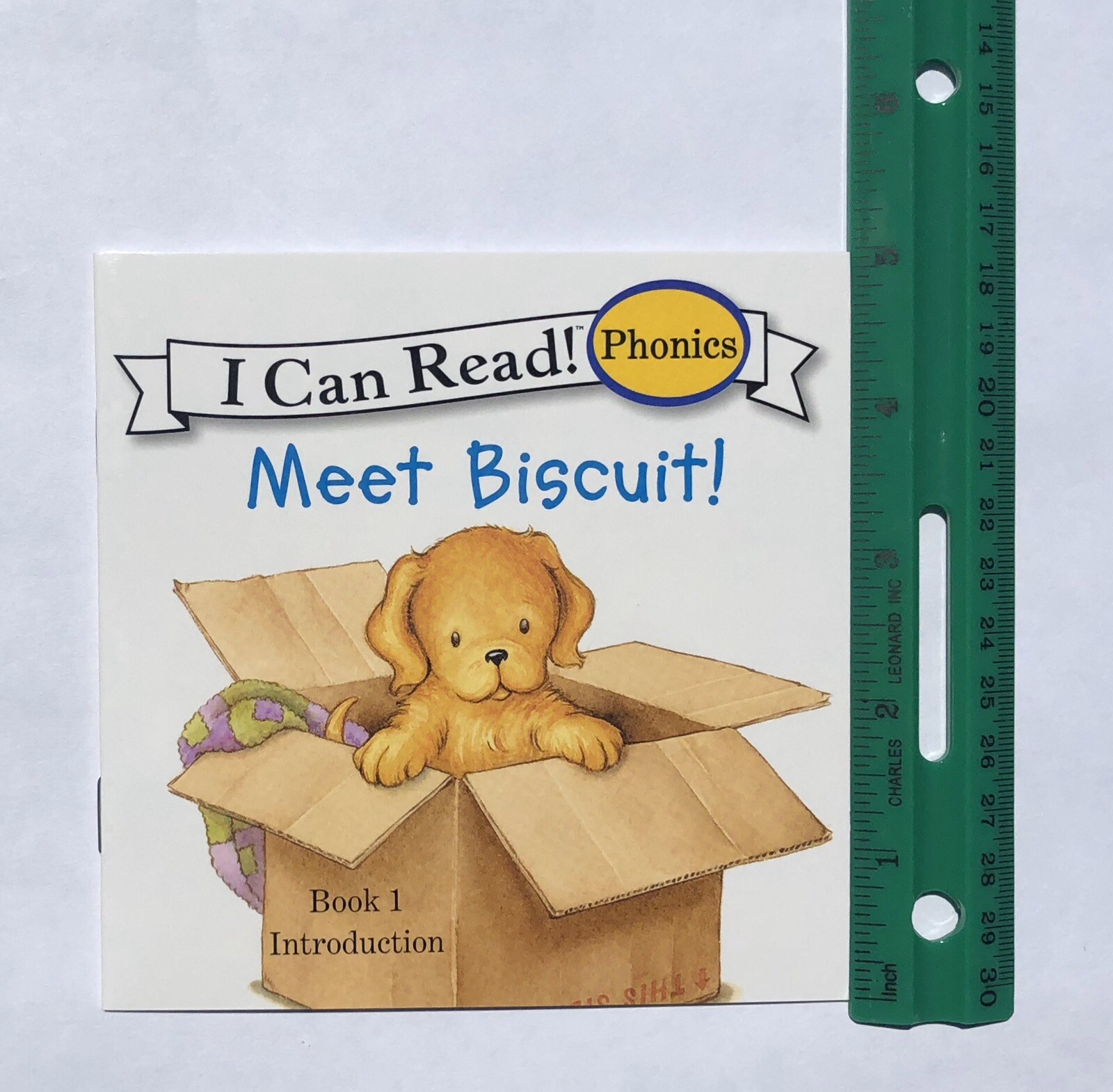 Biscuit Phonics Childrens Books Fun Learning Learn to Read I Can Read Lot 24