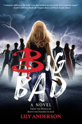 Big Bad – Hardcover By Anderson, Lily – GOOD