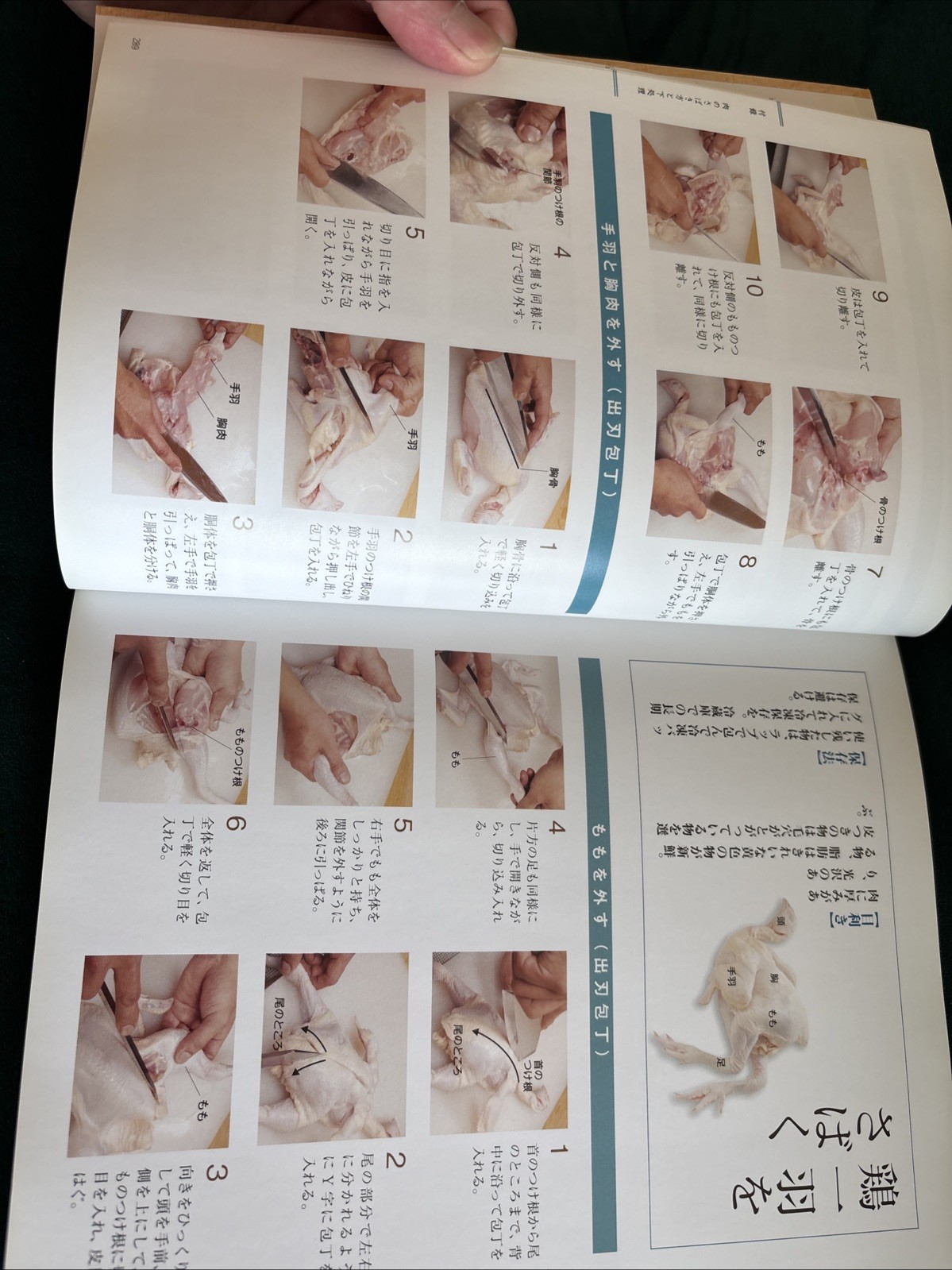 The Most Helpful Kitchen Knife Textbook – Japanese Cuisine – 141 Recipes – Japan
