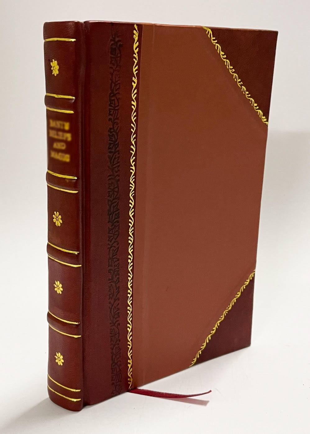 The Acts and Monuments of John Foxe: a New and Compl Vol 5 1838 [Leather Bound]