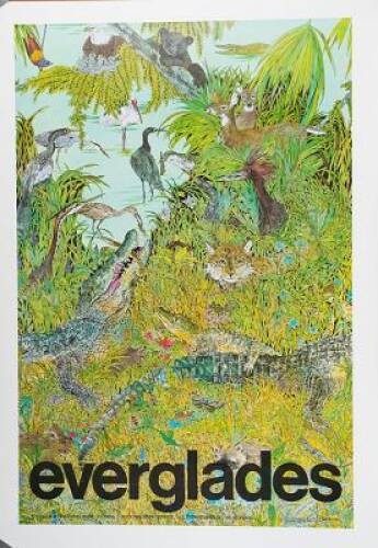 Everglades Wildguide – Paperback By George, Jean Craighead – GOOD