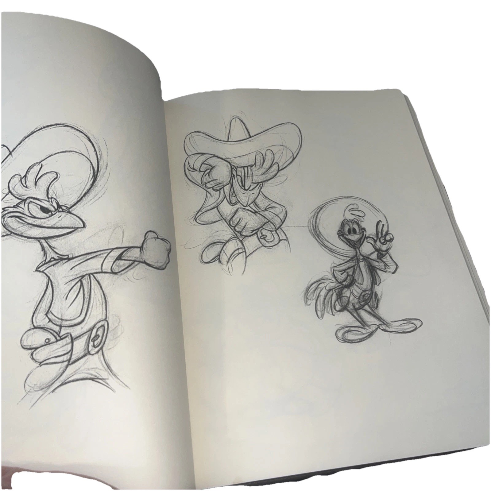 A Disney Sketchbook (Disney Editions Deluxe) Animation Book Ken Shue Hardcover