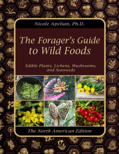 The Forager’s Guide to Wild Foods, Claude Davis, 9781735481517