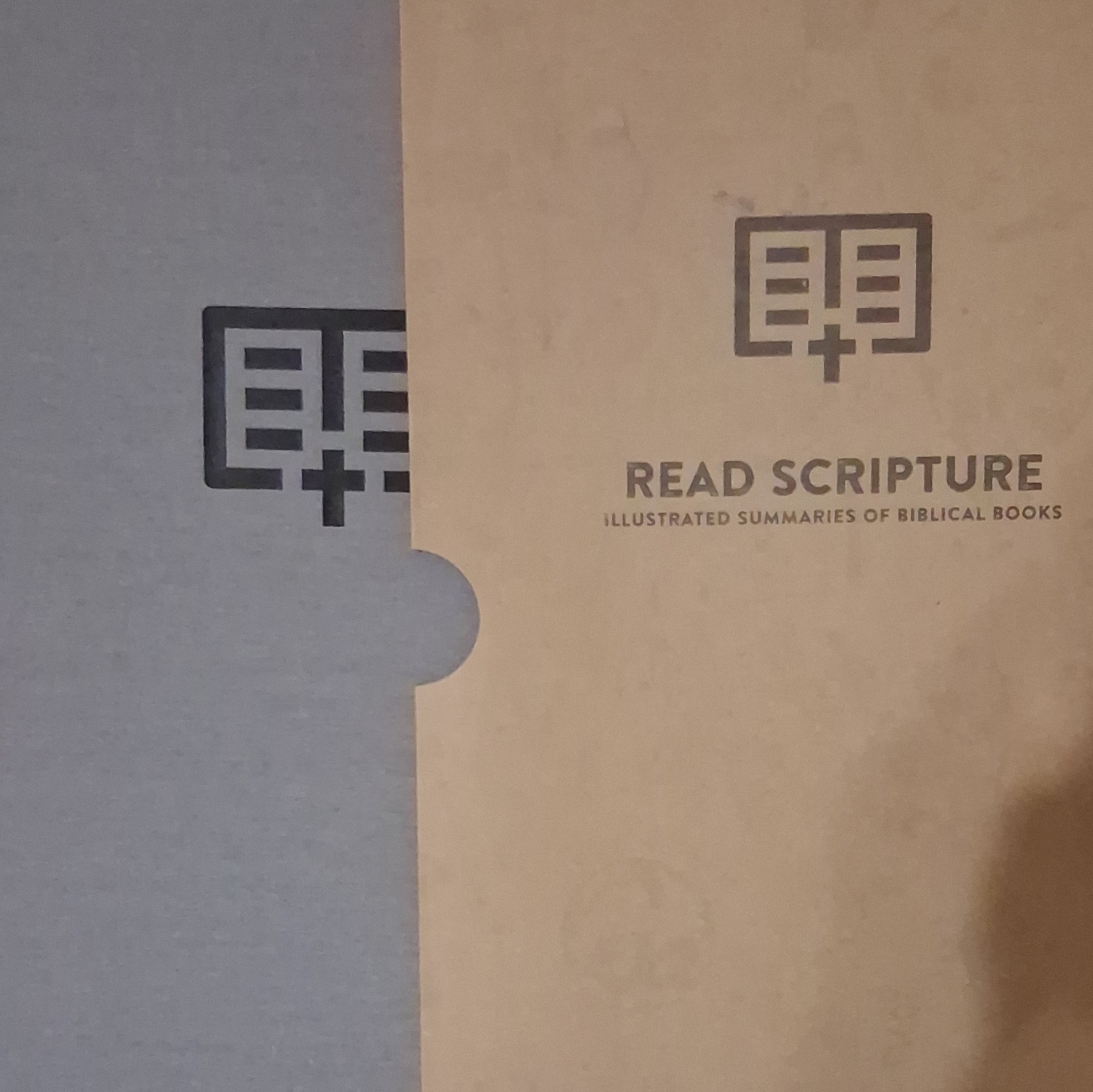 The Bible Project Read Scripture Illustrated Summaries of Biblical Books Box Set