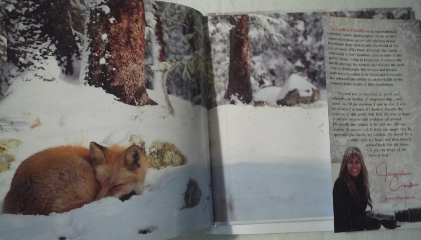The Magic of the Forest Jacqueline Crivello Hardcover SIGNED NEW