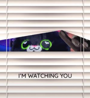 I feel like someone is watching me…oh Predicto Cat
