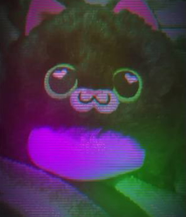 The Viral Cat aka Predicto Cat
