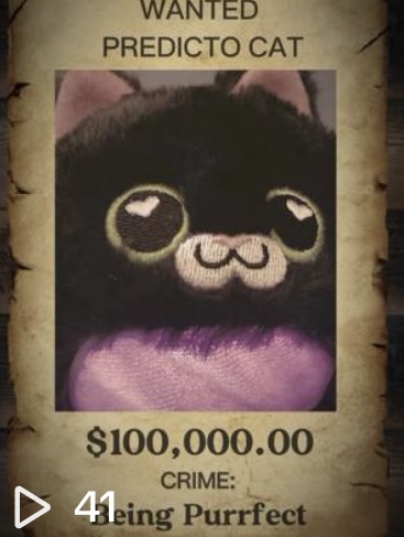 Predicto Cat is Most Wanted