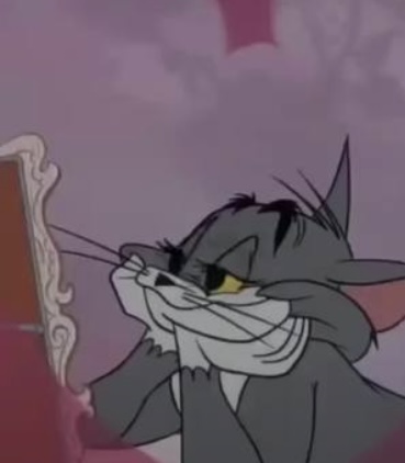 Tom Hearts Predicto Cat