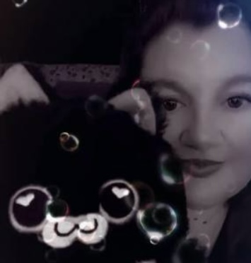 Where to get your own Predicto Cat